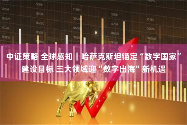 中证策略 全球感知｜哈萨克斯坦锚定“数字国家”建设目标 三大领域迎“数字出海”新机遇