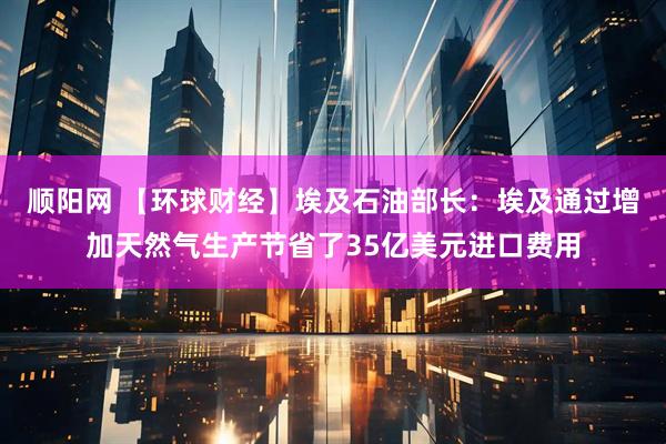 顺阳网 【环球财经】埃及石油部长：埃及通过增加天然气生产节省了35亿美元进口费用