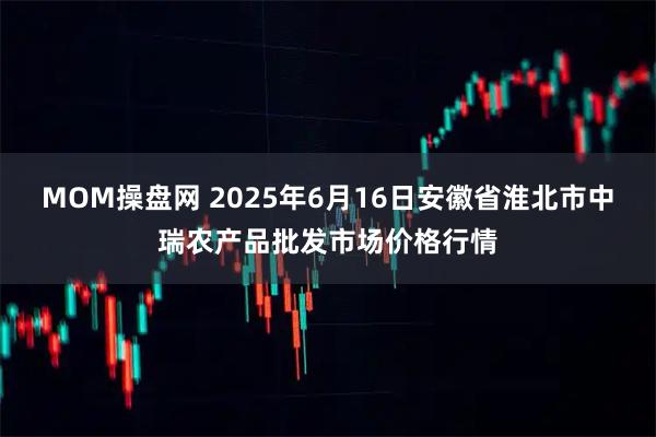 MOM操盘网 2025年6月16日安徽省淮北市中瑞农产品批发市场价格行情