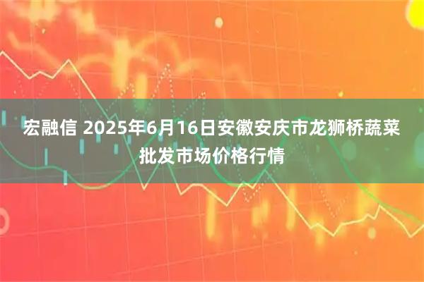 宏融信 2025年6月16日安徽安庆市龙狮桥蔬菜批发市场价格行情