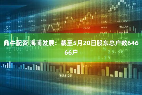 鼎牛配资 海南发展：截至5月20日股东总户数64666户