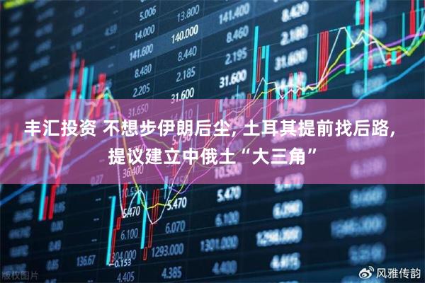 丰汇投资 不想步伊朗后尘, 土耳其提前找后路, 提议建立中俄土“大三角”