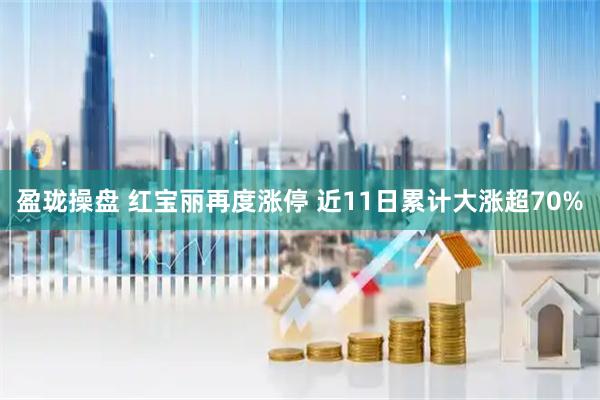 盈珑操盘 红宝丽再度涨停 近11日累计大涨超70%
